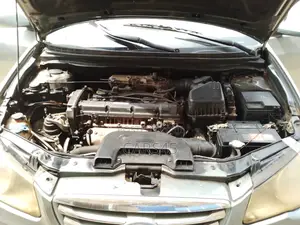 Hyundai Elantra 2010 Gray