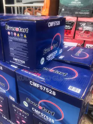 Quality Korea Battery 75ahs Everstart for Suv 