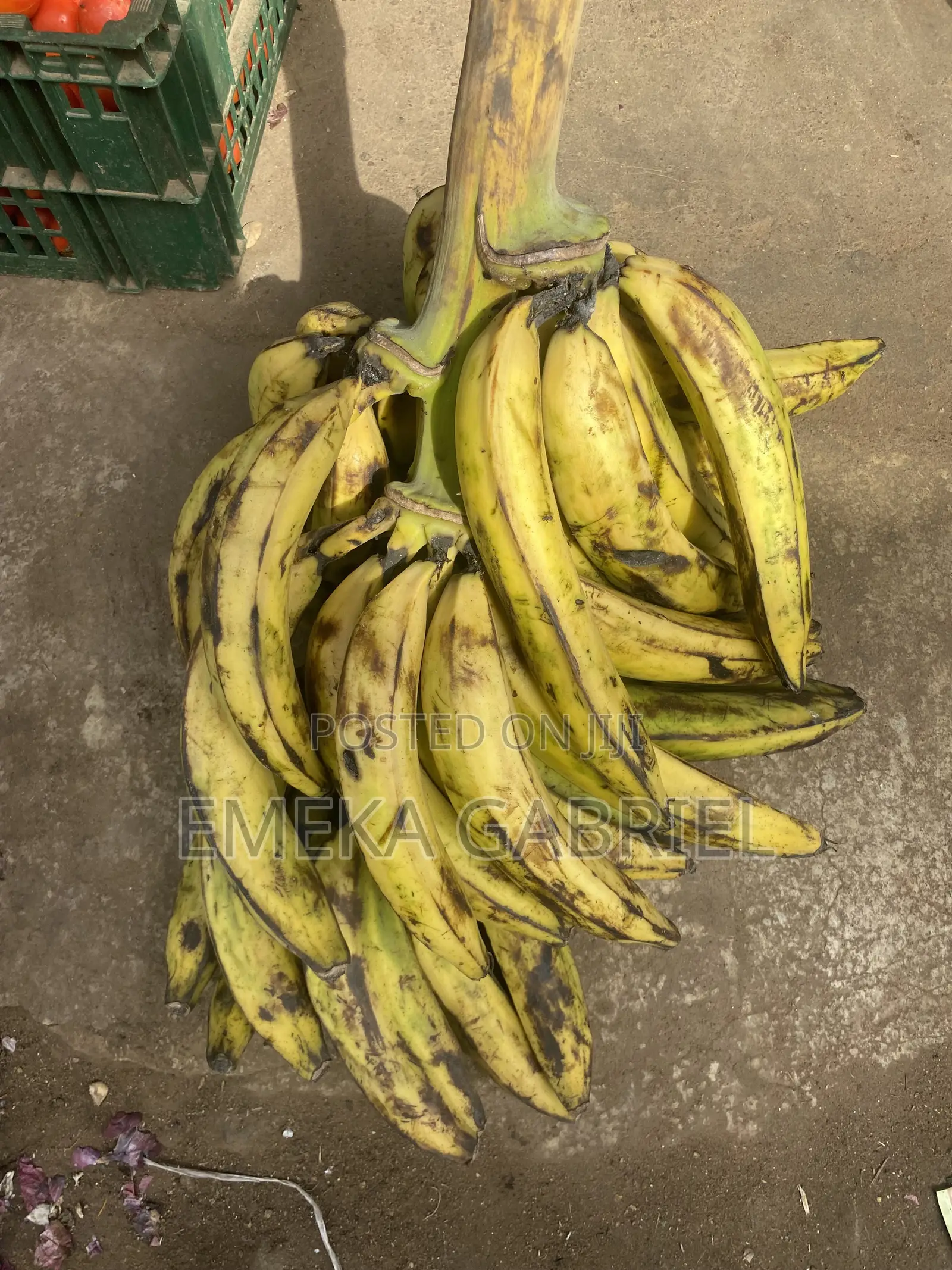 Ripe Plantain