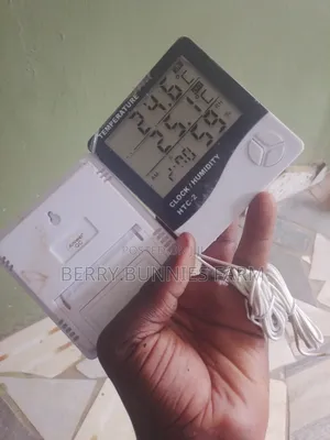 Brooding Thermometer