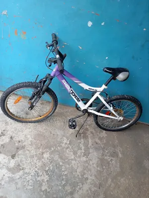 Bicycle Mobility