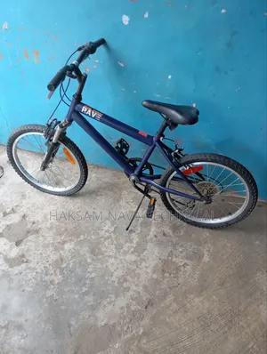 Bicycle Mobility