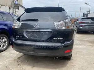 Lexus RX 2009 Gray