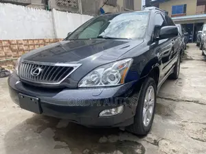Lexus RX 2009 Gray