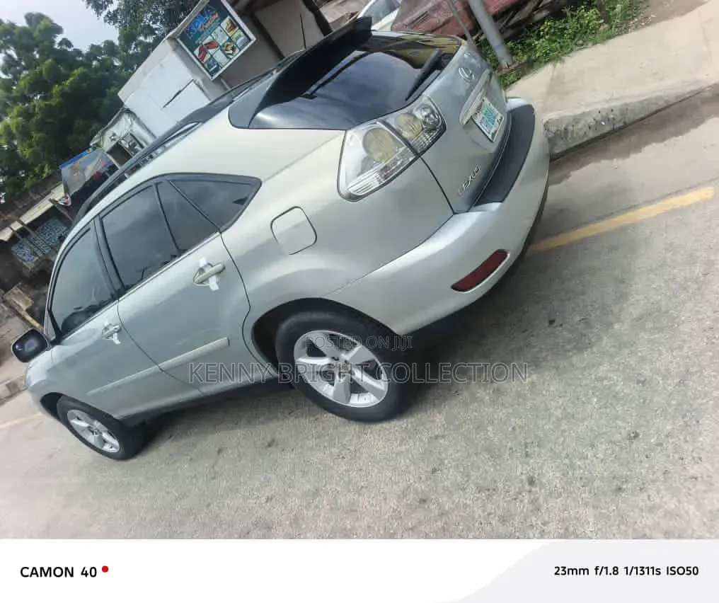 Lexus RX 2008 Silver