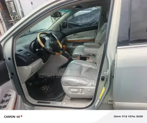 Lexus RX 2008 Silver