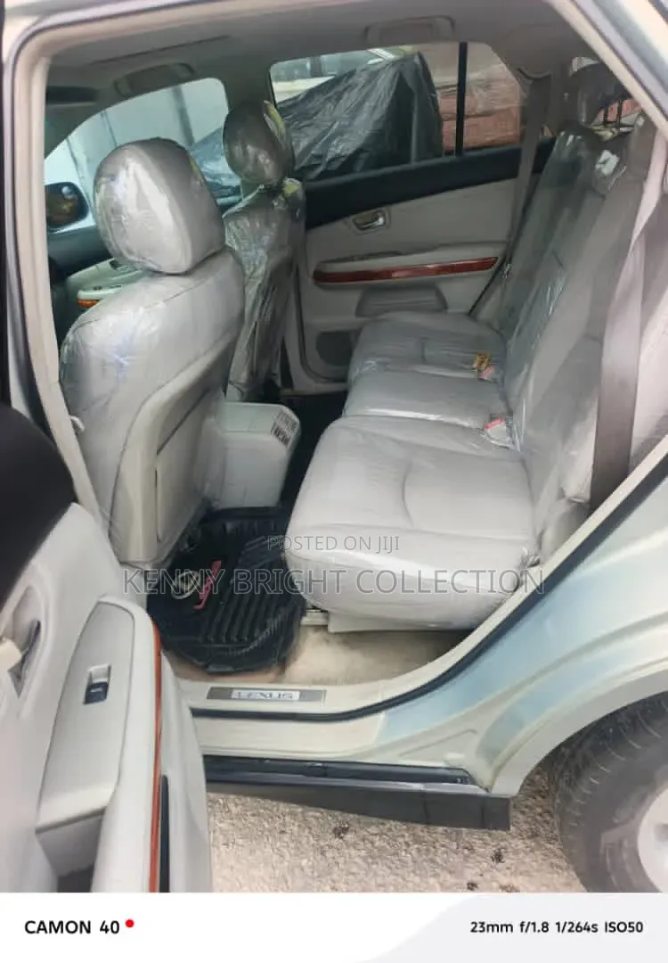 Lexus RX 2008 Silver