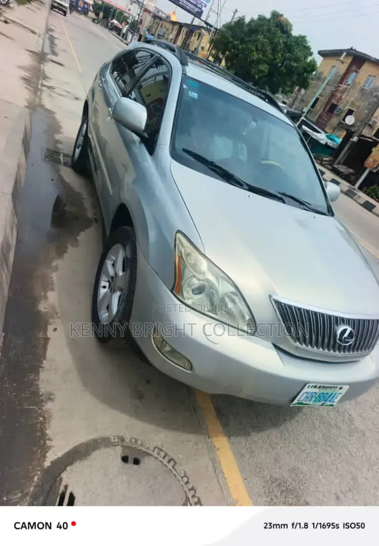 Lexus RX 2008 Silver