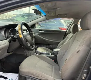 Hyundai Sonata 2011 Blue