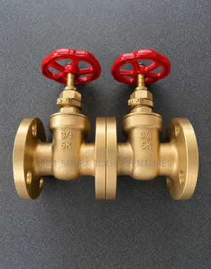 3/4-Inch Heavy Duty Brass Globe Valves