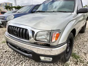 Toyota Tacoma 2004 Gray