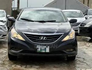 Hyundai Sonata 2011 Blue