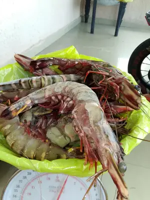 Future Global Seafood