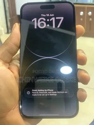 Apple iPhone 14 Pro Max 256 GB Gray