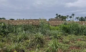 1 Plot of Land