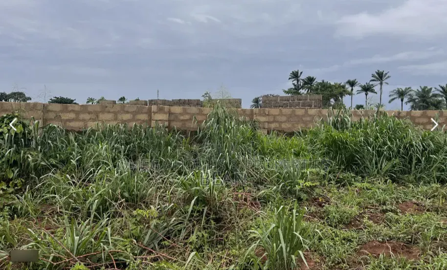 1 Plot of Land