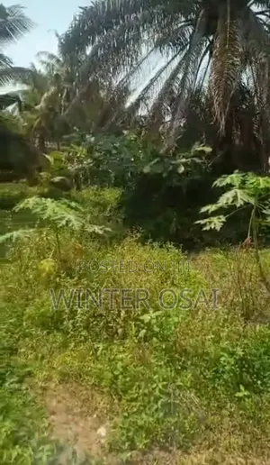 Prime Land for Sale in Isashi. Quarter, Half, Full Plot, Acre, Hectare