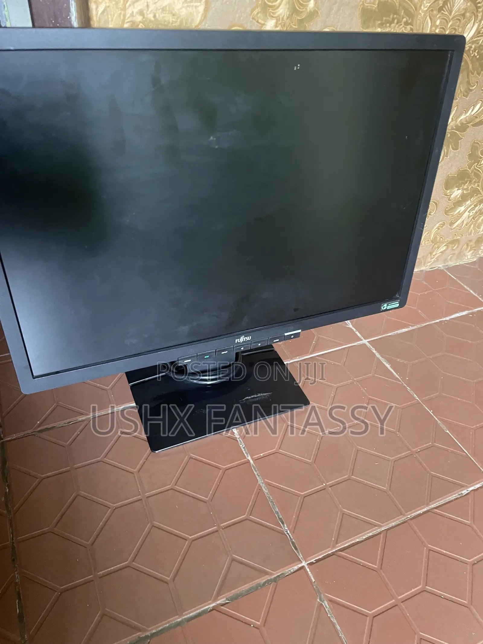 Computer Monitor