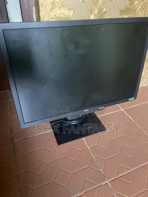 Computer Monitor