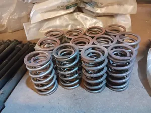 Outlet Valve Spring