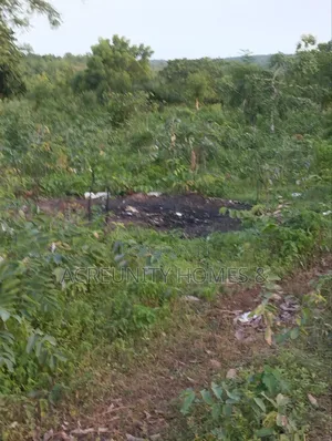 400 Acres of Agricultural Farmland for Sale, Adekola Village, Adoawaye