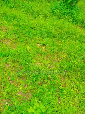 3,750sqm Commercial Land at Wuye
