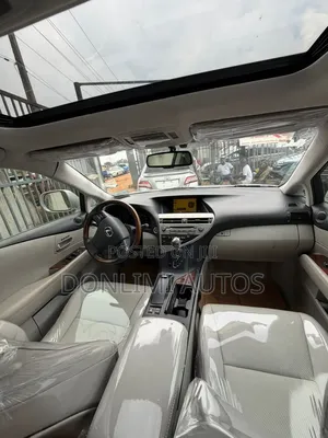 Lexus RX 2010 Silver