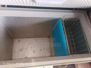 Big Freezer