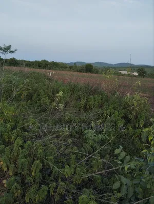 50 Acres of Prime Farmland for Sale – Iseyin, Oyo State