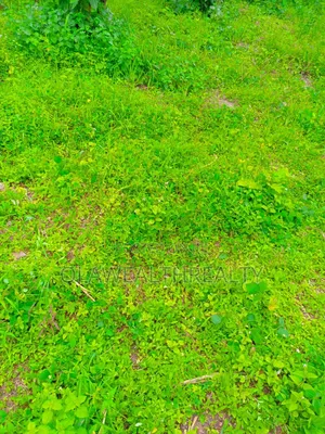 8648sqm Commercial Land at Central Business District