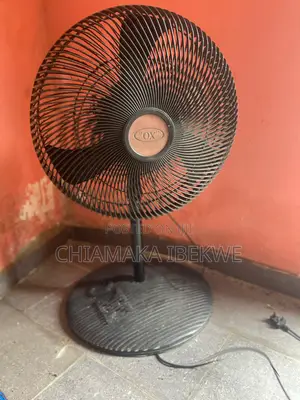 Standing Fan
