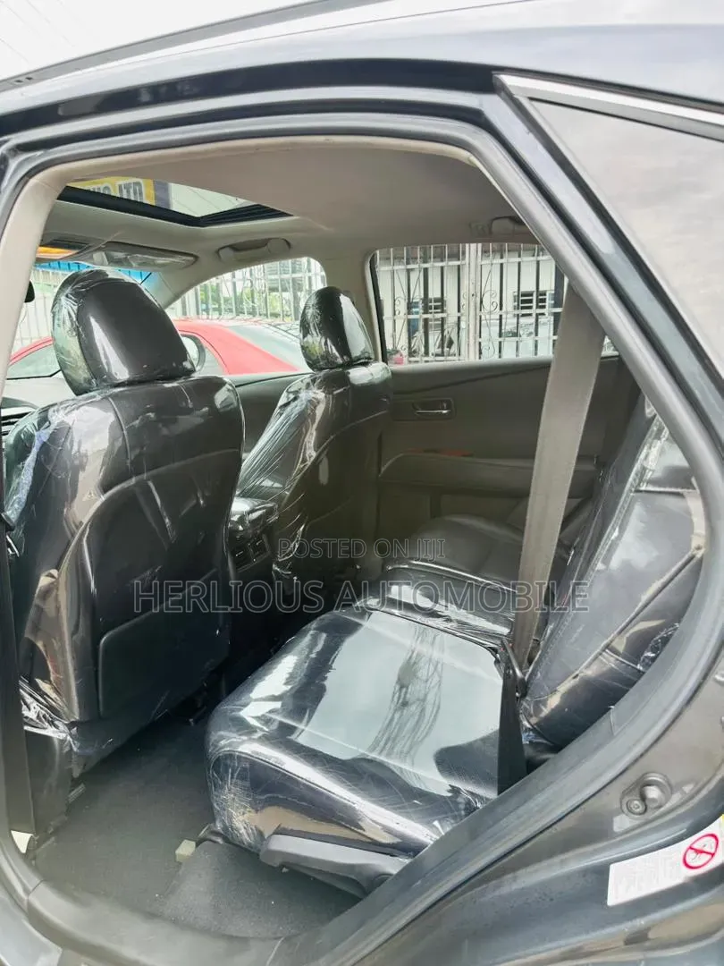 Lexus RX 2010 Gray