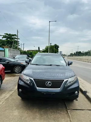 Lexus RX 2010 Gray