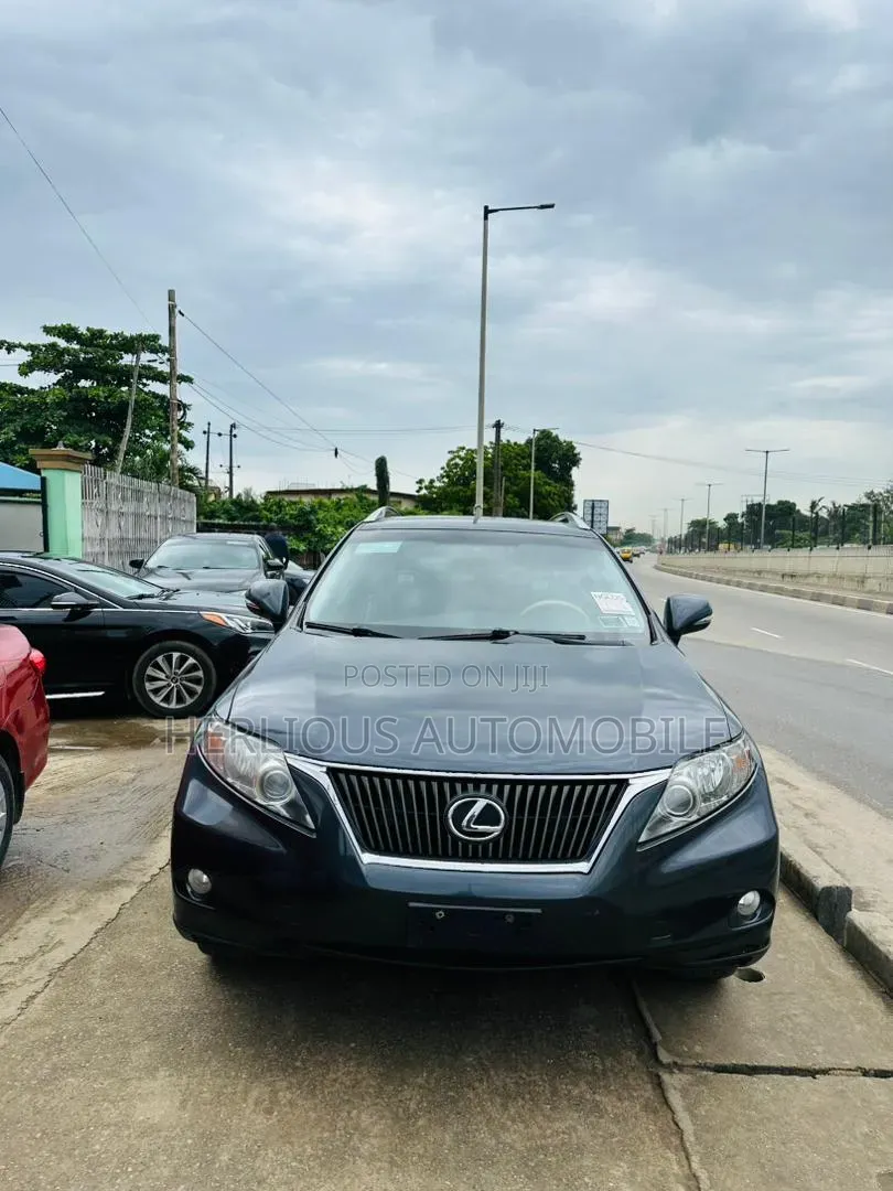 Lexus RX 2010 Gray