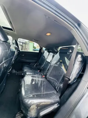 Lexus RX 2010 Gray