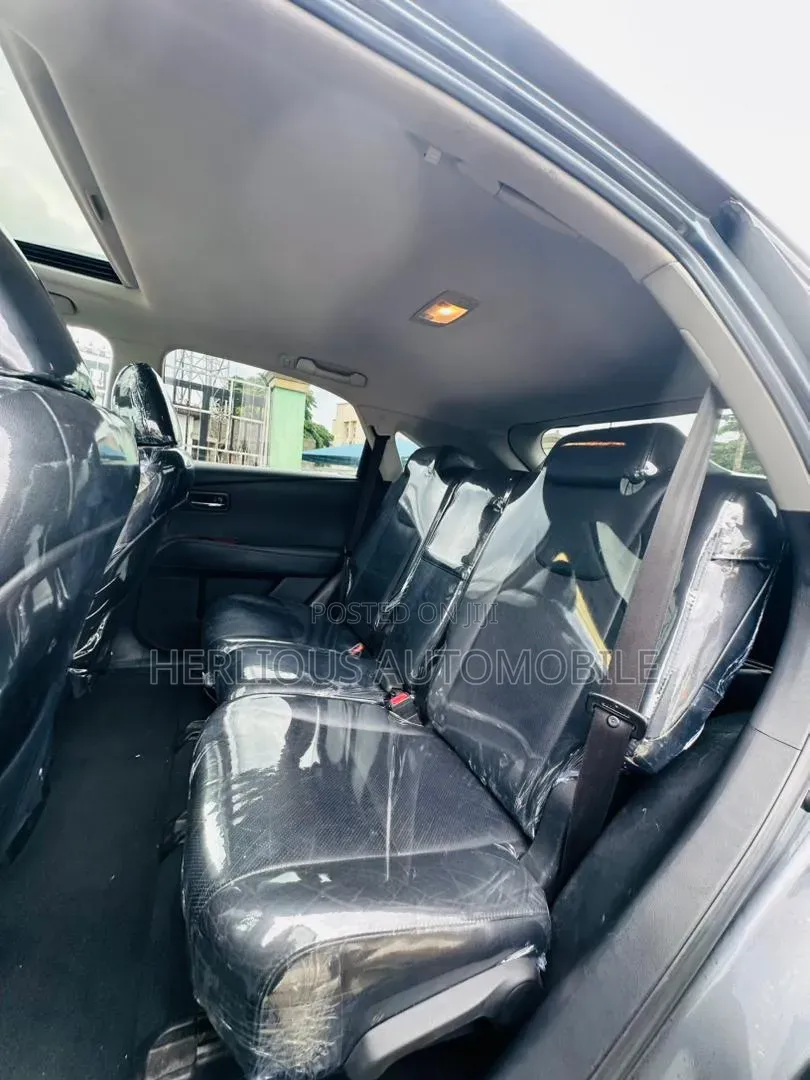 Lexus RX 2010 Gray