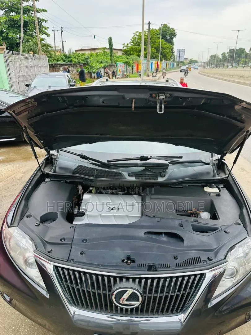 Lexus RX 2010 Gray