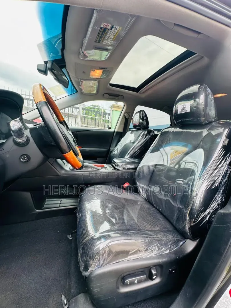 Lexus RX 2010 Gray