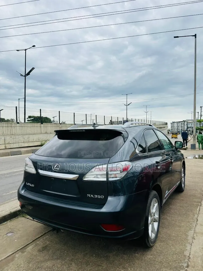 Lexus RX 2010 Gray