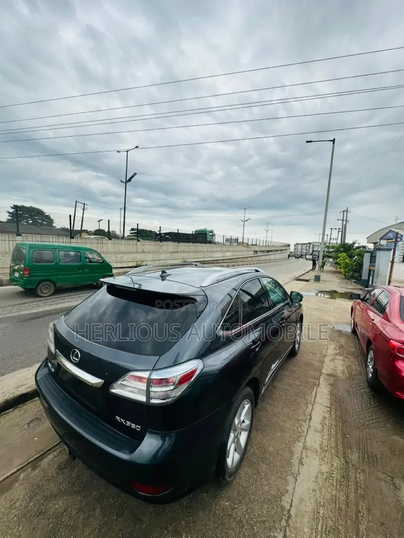 Lexus RX 2010 Gray