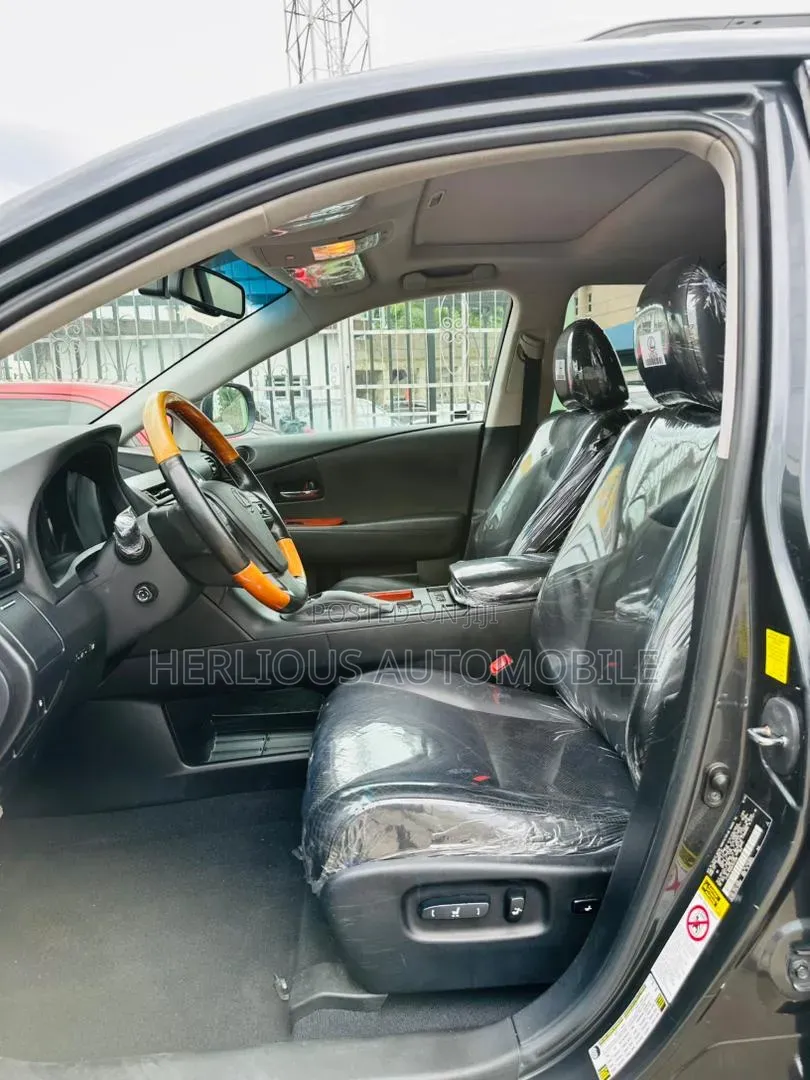 Lexus RX 2010 Gray