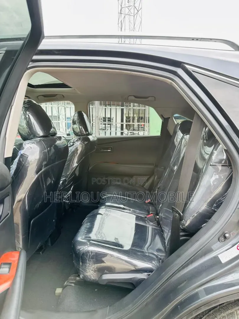 Lexus RX 2010 Gray