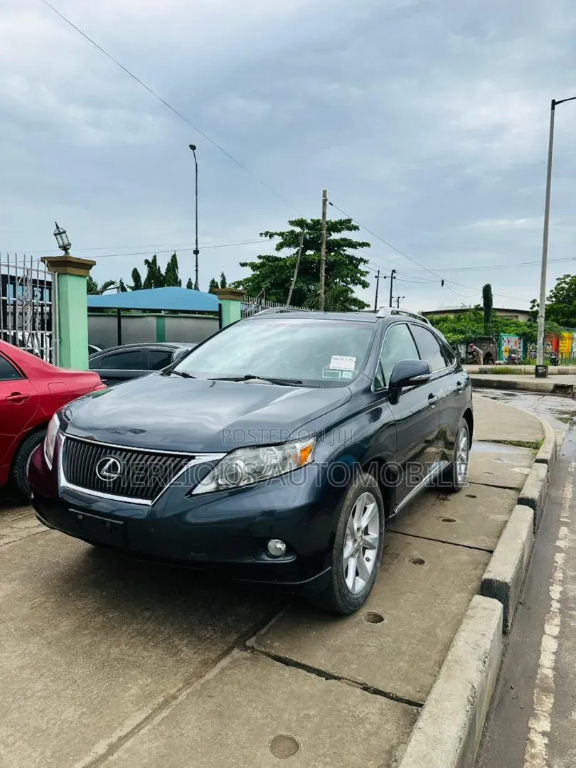 Lexus RX 2010 Gray