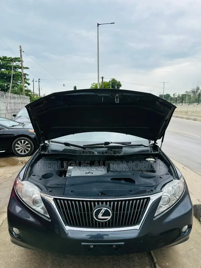 Lexus RX 2010 Gray