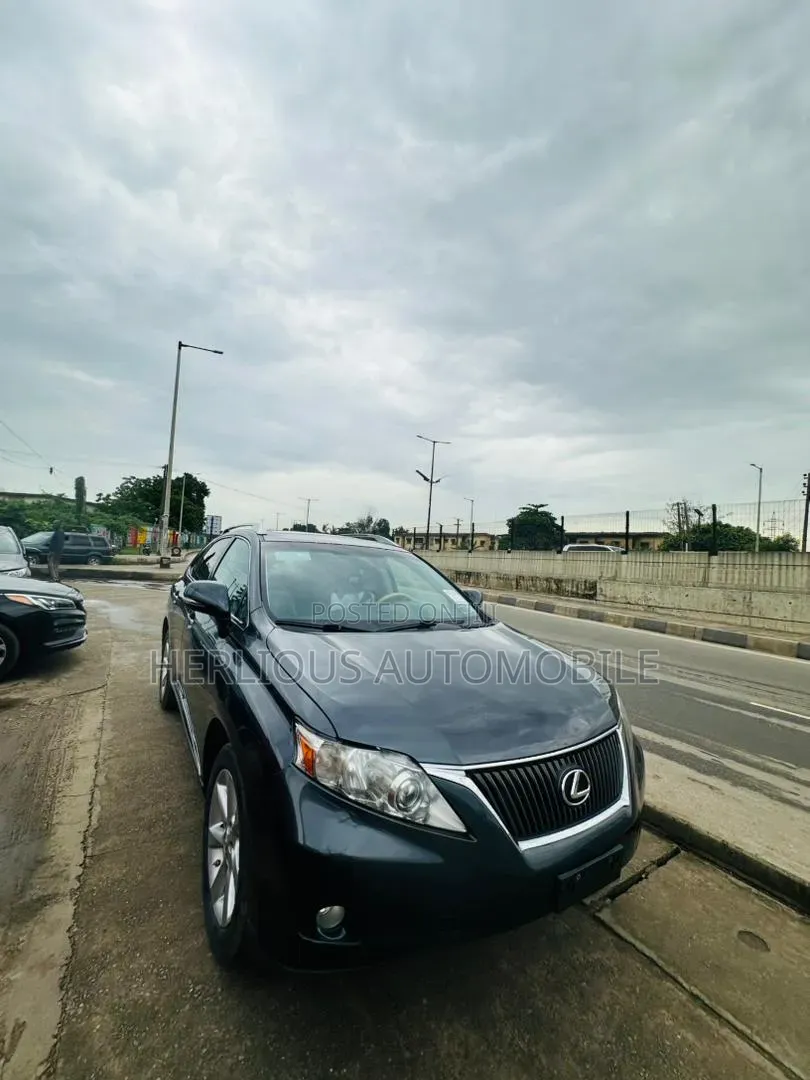 Lexus RX 2010 Gray