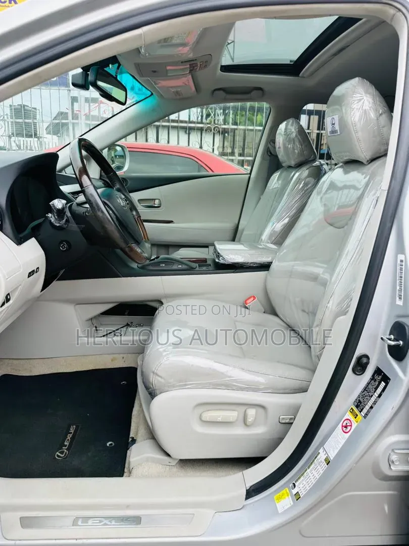 Lexus RX 2010 Silver