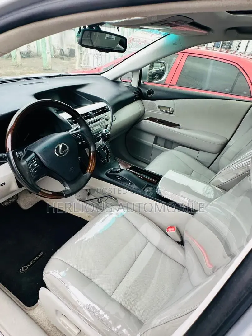 Lexus RX 2010 Silver