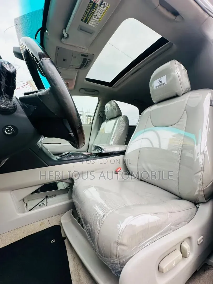 Lexus RX 2010 Silver