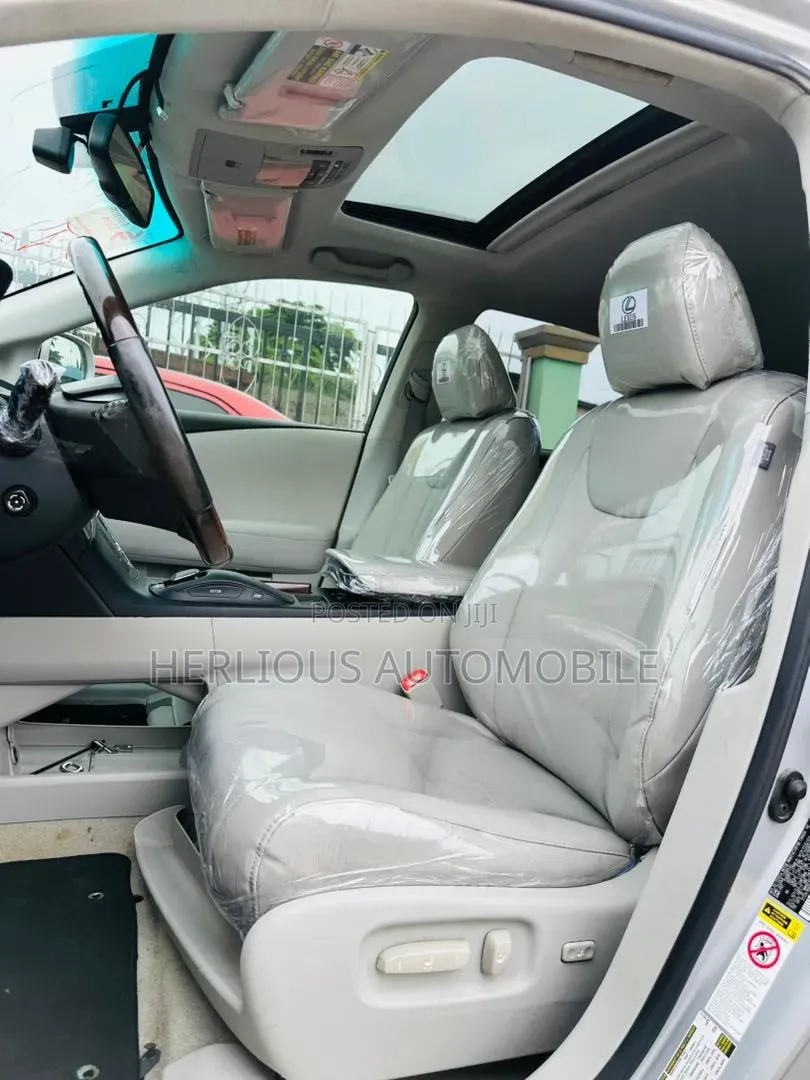 Lexus RX 2010 Silver