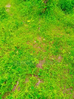 4,190sqm Commercial Land at Katampe Main